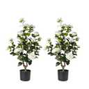 Artificial Camellia Tree 2 Pack - Realistic Camellia Plants in Pot with White Flowers, Lifelike Faux Greenery for Living Room, Patio, or Wedding, White