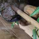 Nearly Natural 9ft. Willow Artificial Tree (Real Touch)