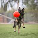 Jolly Pets Large Soccer Ball Floating-Bouncing Dog Toy, 8 inch Diameter, Orange