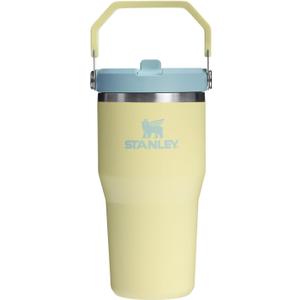 Stanley IceFlow 2.0 Flip Straw Tumbler with Handle 20 oz | Twist On Lid and Flip Up Straw | Leak Resistant Water Bottle | Insulated Stainless Steel | BPA-Free | Pomelo
