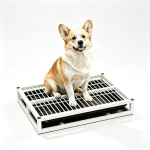 Indoor Dog Potty Toilet, Elevated Pee Pad Holder for All Breeds, Keeps Paws & Floors Clean, Ideal for Bedroom/Dorm, Rainy Days & Early Mornings/Late Nights (White,M: 24.4 x 17.7 x 3.2 inch)