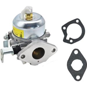 146-0455 Carburetor, Compatible with Onan Cummins Carb Generator with Gaskets BGD BGE BGM Replace 146-0466 141-0918 141-0926