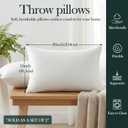 Pillow Insert Set of 2,(20*12in)Premium Soft and Fluffy Sofa Decorative Inserts Stuffing for Outdoor Porch Patio Furniture and Interior Living Room Couch and Bedroom Cushions (Rectangular)