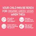 Happy Baby Organics Baby Snacks, Greek Yogis, Freeze Dried Yogurt & Fruit Snacks, Gluten Free Snack for Babies 9+ Months, Strawberry & Banana, 1 Ounce (EXP 03/12/27)