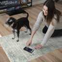 3x14 Hallway Washable Runner Rug - Non-Slip Kitchen Rugs with Rubber Backing Abstract Neutral Low-Pile Carpet Runners for Laundry Room Home Decor Bedroom Bathroom Entryway (Green,3x14)