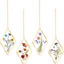 Qunclay 4 Pcs Double Glass Pressed Flower Frames Rhombus Wall Hanging Floating Picture Photo Frames with Chain for Pressed Dried Flowers Plants Photo Small Flat Items Artwork Display(Brass,6 Inch)