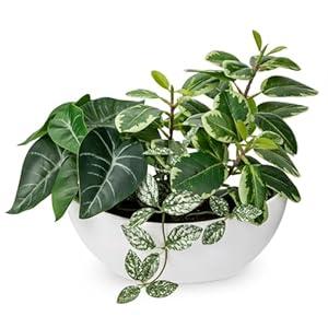 Fake Plants 11.8" Artificial Potted Plant Assorted Faux Plants in Pot Silk Plants Artificial Plants Indoor for Home Living Room Bedroom Bathroom Office Desk Table Centerpieces Shelf Greenery Decor