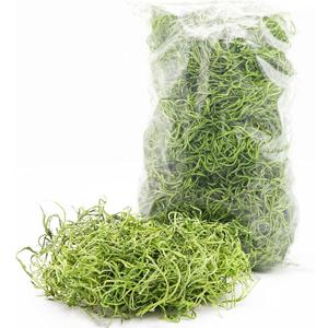 Green Spanish Moss - 2 oz - Indoor Outdoor for Potted Plants, Terrariums, Fairy Gardens, Arts and Crafts or Floral Decor Design (Chartreuse)