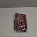 200 Pcs Christmas Artificial Cranberries Fruit Fake Cranberries for Christmas Tree Decoration Wedding Garland DIY Craft Table Decoration Photo Props