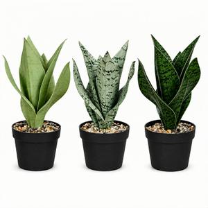 Artificial Snake Plant Set of 3 Small Faux Snake Plants in Pots Fake Potted Plants for Indoor Home Decor Desk, Shelf, TV Stand, Cabinet, Bathroom Office 9.8 inch