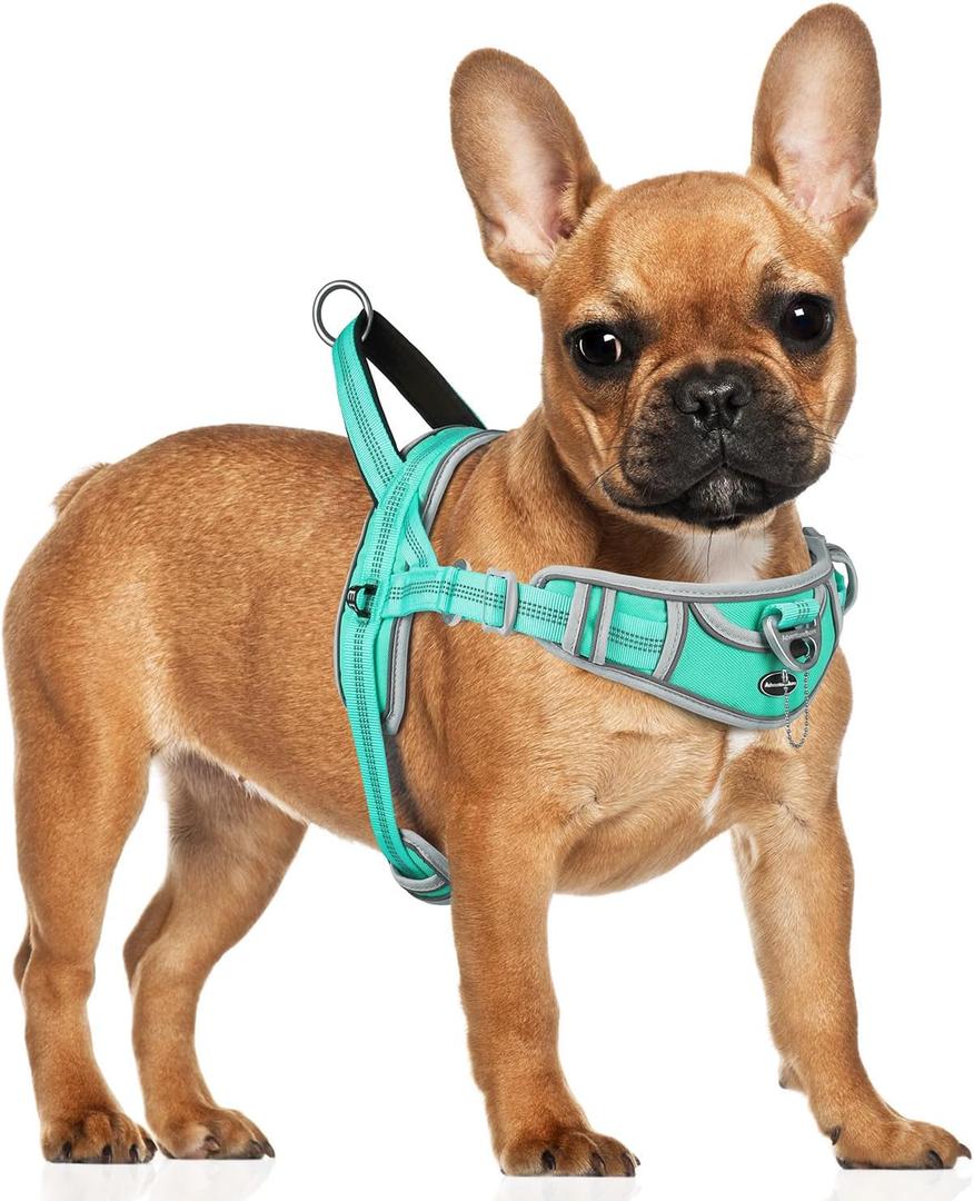 ADVENTUREMORE Small Dog No Pull Harness - Reflective, Escape Proof with Front Clip Handle for Training & Walking - Teal