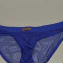 Arjen Kroos Men's Sexy Underwear See-through Sheer Briefs Mesh Pouch Lingerie Tagless Underpants (Medium, Blue)