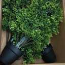 Yinleus 4FT Artificial Boxwood Topiary Tree Fake Topiary Potted Plants for Home Office Garden Indoor Outdoor Decoration 48INCH(2PACK)