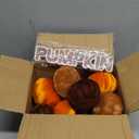 17 Pack Fall Artificial Velvet Pumpkins Decorations, Foam Faux Flocked Pumpkin Including Wooden Hello Pumpkins Sign, for Home Autumn Harvest Theme Party Halloween Thanksgiving Table Decor. (Orange/Coffee/Dark Brown)