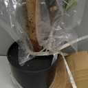 Faux Olive Tree 6FT, Artificial Potted Tree with Planter, Silk Plants Indoor Outdoor, Lifelike Olive Plants with Natural Wood Trunk, Fruits and Buds, Home Office Decor, 1 Pack