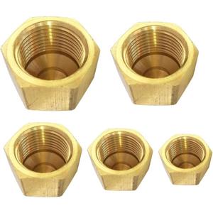 Brass Flare Cap Assortment Kits, SAE 45 Degree Flared Tube Fitting for 1/4" 5/16" 3/8" 1/2" 5/8" Tube OD, 5pcs Kit
