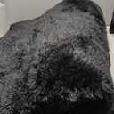 CAIYUECS Shag Area Rug,Indoor Ultra Soft Fluffy Plush Rugs for Bedroom Living Room, Non-Skid Modern Nursery Faux Fur Rugs for Kids Room Home Decor (5x7 Feet, Black)