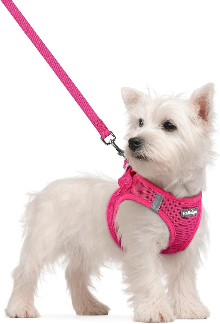 rabbitgoo Dog Harness Small Sized and Leash Set, Step in Soft Light Puppy Vest, Breathable Mesh Pet Harness, Reflective for Safe Easy Walking, Rose Red, Small