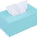 PEMAR Rectangular Lacquer Tissue Box, Handmade Rectangle Tissue Holder Decorative Napkin Dispenser Organizer Rustic Farmhouse Vintage Decor (Aqua)