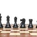 DGT Plastic Chess Pieces 3,75" / 95 mm King Height - Tournament Standard Size Weighted Chessmen