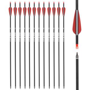 Carbon Arrow Hunting Arrows with 100 Grain Removable Tips for Archery Compound & Recurve & Traditional Bow Practice Shooting (Pack of 12)
