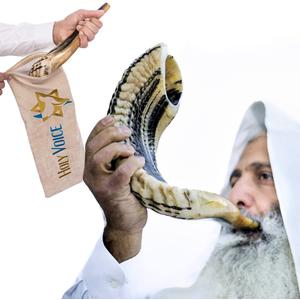 Holy Voice Kosher Ram Shofar Horn from Israel  12"-14" Musical Horn with Shofar Bag  Decorative, Functional Jewish Judaica Gifts for Women & Men, Half Polished