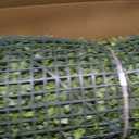 Artificial Grass Wall Panels,40"x120" (33.33 SQFT) Boxwood Roll