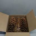 Large Pine Cones for Crafts, 912 Inch Real Natural Sugar Pinecones, Set of 3 Large Decorative Pine Cones for Vase Filler, Holiday Dcor, Rustic Table Centerpieces, DIY Wreaths Natural