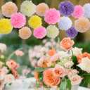 BestoFun 16 PCS Light Color Party Decorations Tissue Paper Flowers Pom Poms Decorations for Girl Groovy Birthday Baby Shower Wedding Bachelorette Room Wall Hanging Dcor