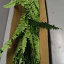 FOREST PRINCE 45" Fake Ferns, Realistic Large Artificial Bush Plants, 2 Artificial Boston Ferns with 59 Fronds for Outdoors Planter Indoor Home Garden Porch Decor