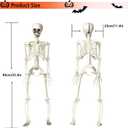 KANKUN 36" Halloween Skeleton, 3 FT Full Body Stayable Movable Joints, Posable Hanging Skeletons for Halloween Decoration