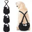 3 Pack Avont Washable Female Dog Diaper with Suspender, Reusable Girl Doggie Diapers for Small Medium Large Doggy in Heat Cycle Period Incontinence -XL (Black)