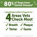 WHIMZEES Wellness Brushzees Dog Dental Treats, Natural Chews, Medium Size Stick, (12 Count) (EXP 06/27/28)