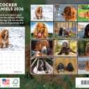 Cocker Spaniel Calendar 2026 Wall 12 Month Monthly Cocker Spaniels Gifts For Cocker Spaniel Lovers Women Men Mom Dad | American Made In The USA