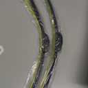 22 inch + 22 inch Windshield Wiper Blade Compatible with F150 2022-2009, Silverado 1500 2022-2000, Sierra 1500 2022-2019, RAM 1500 2015-2013 Original Equipment Automotive Replacement J/ U Hook 2 Pack