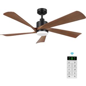 52" Ceiling Fans with Lights and Remote Control-5 Reversible Carved Blades, 6-Speed Noiseless DC Motor, Modern Ceiling Fan in Matte Finish with Indoor/Outdoor DC