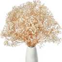 Dried Baby's Breath Flowers Ivory White, 17inch Dried Natural Flowers Babys Breath Bulk with 3000 Buds, Real Dry Gypsophila for Wedding, Party, Wreath Floral DIY, Home Decor