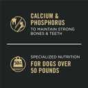 Purina Pro Plan Gravy Wet Dog Food for Large Dogs, Large Breed, Beef and Rice Entre - (Pack of 12) 13 oz. Cans