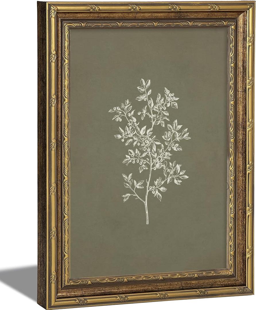 Vintage Framed Olive Branch Wall Art - Retro Gold Frame Botanical Illustration Print Picture - Damage-Free Hook and Loop Hanging Olive Branch Wall Art Decor for Living Room Farmhouse 16x24 inch