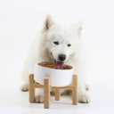 Petygooing White Elevated/Raised 15Slanted Ceramic Dog Bowl for Small and Medium Breeds, Tilted Anti Slip Pet Feeding Bowl,Food Water Dish with Stand for Cats and Dogs (28 OZ/3.6 Cups)