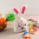 Jetec 100 Piece Easter Goodie Bags Including 40 Pcs 5.5 x 8.5 Inches Bunny Treat Bags and 60 Pcs Carrot Shape Gift Easter Candy Cone Cellophane with 100 Twist Ties Cookie Snack Party(Color Set B)