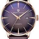 Pagani Design Fashion Men's Waterproof Stainless Steel Automatic Mechanical Watch, Date Display and Brown Leather Strap