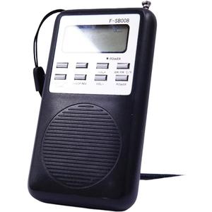 Paranormal Investigation Device with AM/FM Sweep