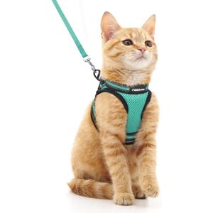 Rabbitgoo Cat Harness and Leash Set for Walking Escape Proof, Adjustable Soft Kittens Vest with Reflective Strip for Cats, Comfortable Outdoor Vest, Green, M