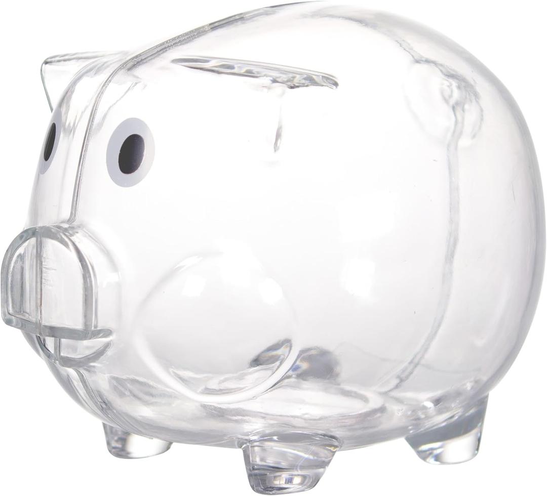 Windy City Novelties Mini Educational Kids Clear Plastic Piggy Bank