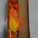 TURNMEON 2 Pack Thanksgiving Decorations Enlarged Maples Leafed Lights Total 20Ft 40LED Fall Decorations for Home, Battery Operated Autumn Garland Waterproof Indoor Outdoor Holiday Thanksgiving Decor