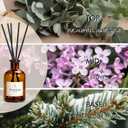 Reed Diffuser Set, 8.12 fl.oz Eucalyptus Scented Diffuser with Sticks, Up to 120 Days, Home Fragrance Reed Diffuser for Bathroom Shelf Decor & Room Freshener, 2 Pack