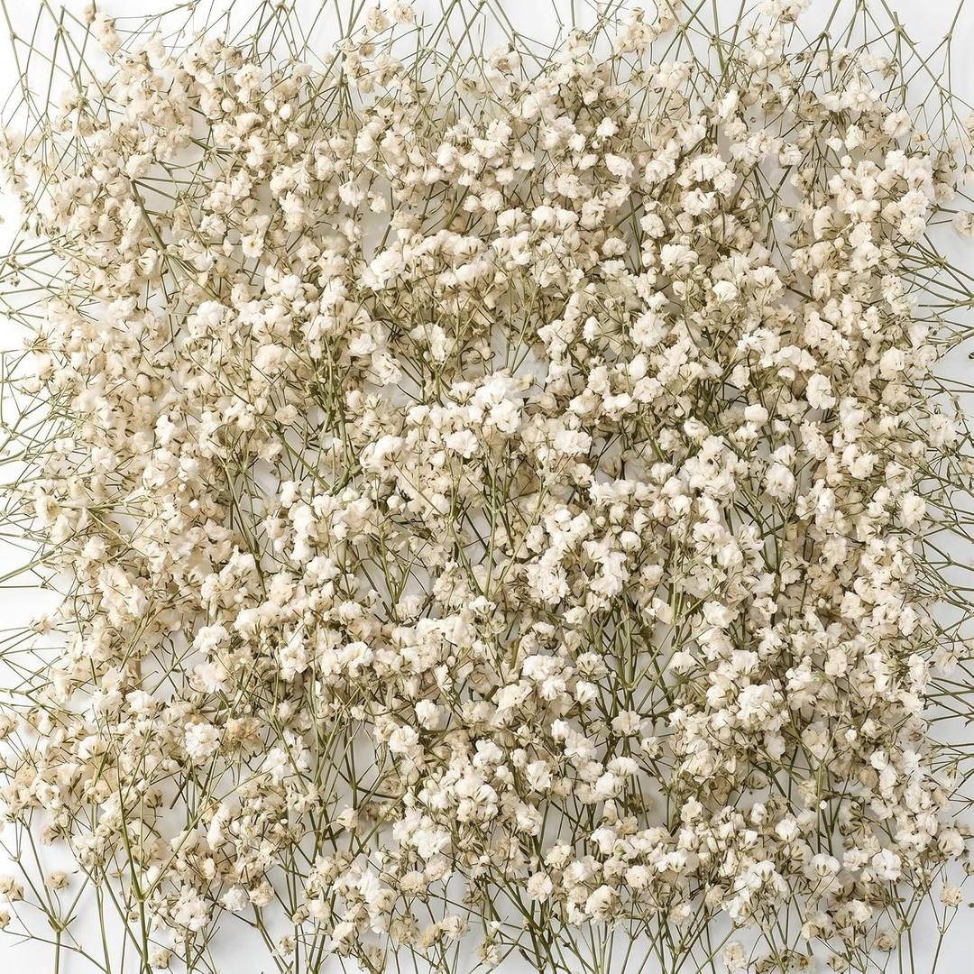 Fumete 200 Pcs Mini Dried Baby Breath Flowers 3000+ Wedding Ivory Natural Flowers Bulk Dried Gypsophila for Vase Bride Shower Invitation Card DIY Candle Making Decor Craft Party Resin Art, 2-4 in