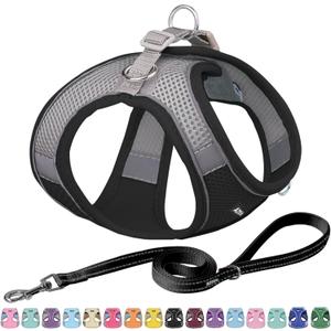 AIITLE Small Harness for Puppy with A Leash - Summer Dog Vest Harness with Super Breathable Mesh, Reflective No-Pull Pet Harness for Outdoor Walking, Camping for Small Dogs, Cats Black XXS AIITLE Small Harness for Puppy with A Leash - Summer Dog Vest Harness with Super Breathable Mesh, Reflective No-Pull Pet Harness for Outdoor Walking, Camping for Small Dogs, Cats Black XXS