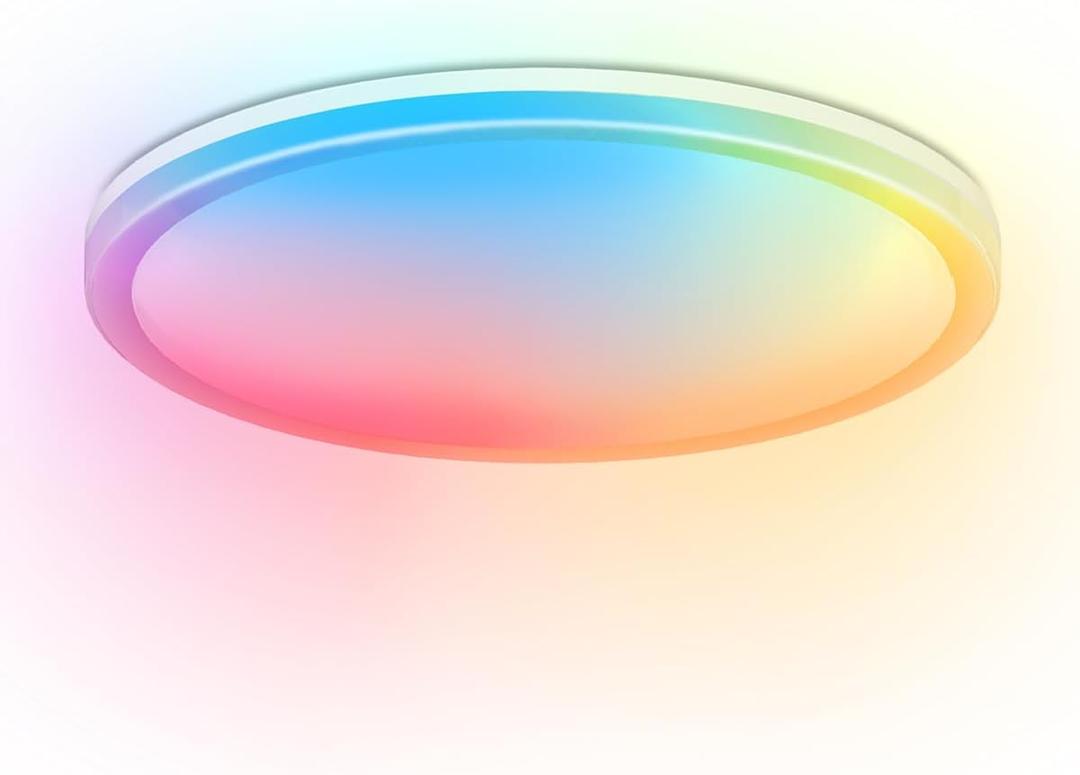 Smart LED Ceiling Light Fixture, Modern Dimmable Flush Mount Ceiling Light, Compatible with Alexa & Google Home, Lighting for Bedroom, Kitchen, Living Room, 12 Inch